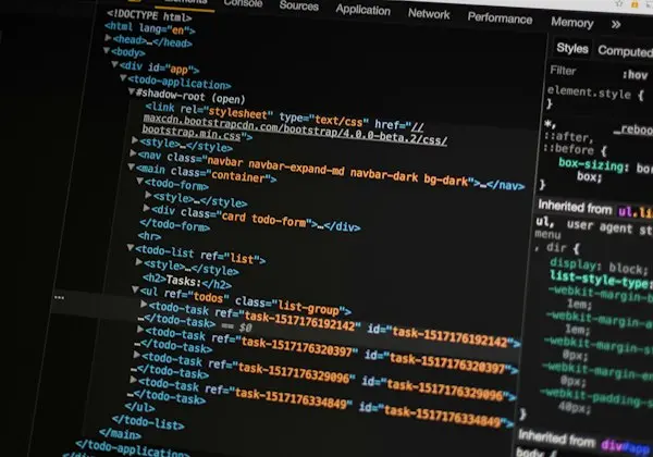 Custom WordPress plugin development by Rayhan Chowdhury