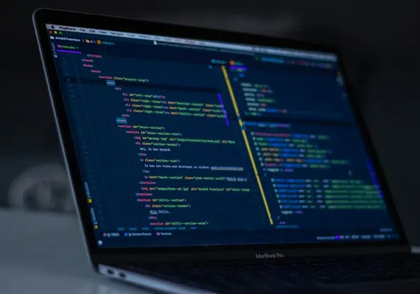 Custom web application development by Rayhan Chowdhury